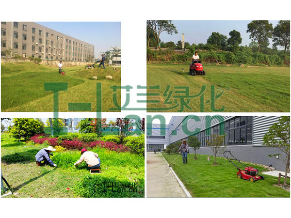 城市园林绿化的重点有哪些？