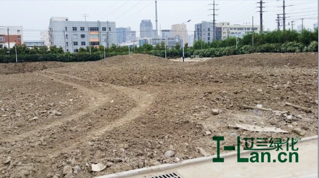 BG大游集团(中国)唯一官方网站